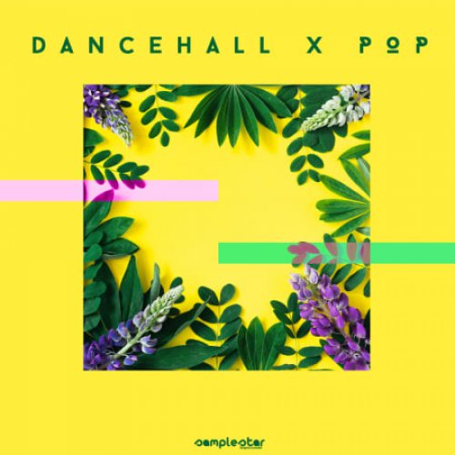 Samplestar Dancehall X Pop WAV MIDI