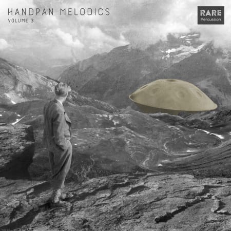 RARE Percussion Handpan Melodics Vol.3 WAV