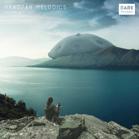 RARE Percussion Handpan Melodics Vol.2 WAV