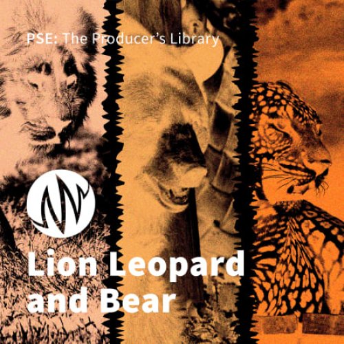PSE: The Producers Library Lion Leopard and Bear WAV