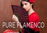 Magix Soundpool Pure Flamenco WAV