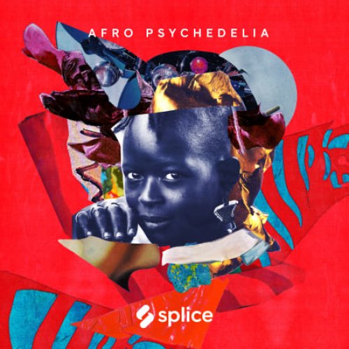 Splice Sessions Afro Psychedelia WAV