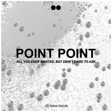 POINT POINT: All You Ever Wanted, But Didn't Dare To Ask WAV