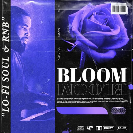 BLOOM: R&B Soul Keys Sample Pack WAV