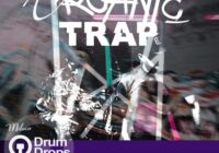 Drumdrops Organic Trap WAV