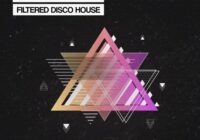 Bingoshakerz Compact Series Filtered Disco House WAV