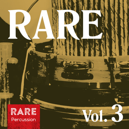 RARE Percussion RARE Vol.3 WAV