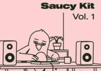 Evil Needle Saucy Kit WAV