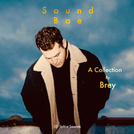 Splice Sound Bae A Collection by Brey WAV