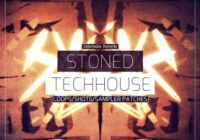 Delectable Records Stoned Tech House MULTIFORMAT