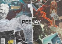 PeeJay Volume II (Drum Kit) WAV