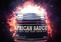 Kryptic Samples African Sauce WAV