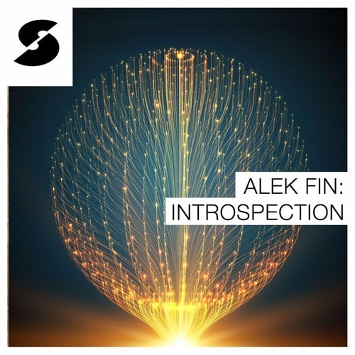 Samplephonics Alek Fin: Introspection MULTIFORMAT