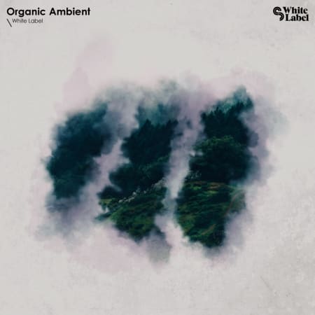 SM White Label Organic Ambient WAV