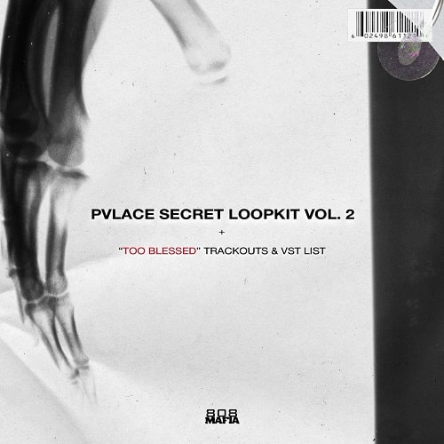 PVLACE Secret Loopkit Vol.2 WAV