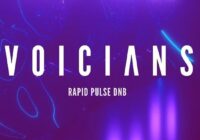 Voicians - Rapid Pulse DnB WAV MIDI
