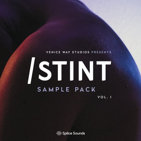 Venice Way Studios Presents STINT Sample Pack WAV