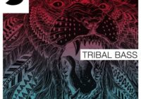 Samplephonics Tribal Bass MULTIFORMAT