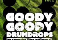 DrumDrops Goody Goody Drumdrops Vol 1 WAV