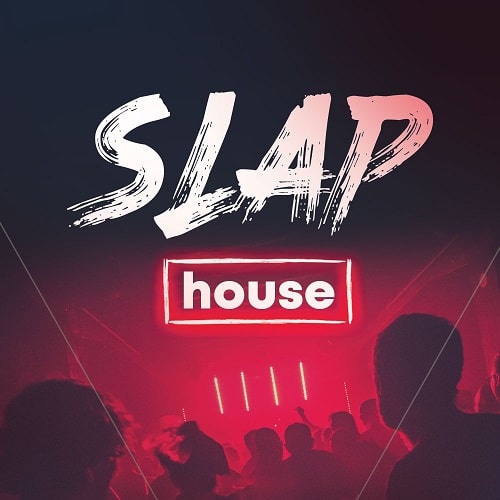 Slap House (Sample Pack & Serum Presets)