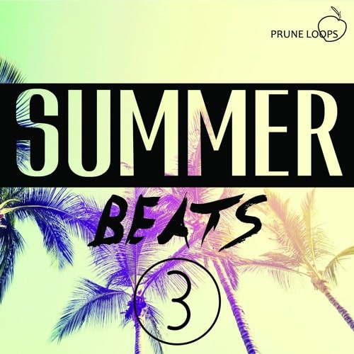 Prune Loops Summer Beats Vol.3 WAV MIDI