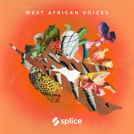 Splice Sessions West African Voices WAV