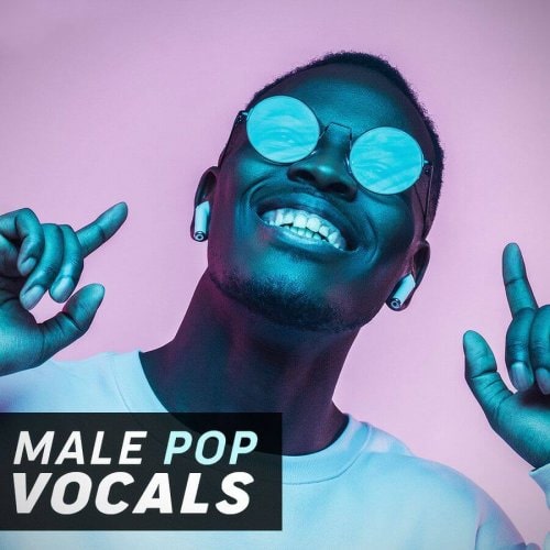 Male Pop Vocals Sample Pack WAV