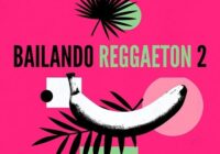 Bailando Reggaeton 2 Sample Pack & Serum Presets