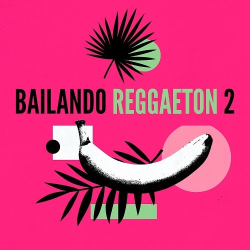 Bailando Reggaeton 2 Sample Pack & Serum Presets