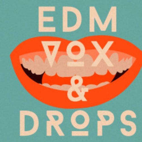 SM101 EDM Vox & Drops WAV