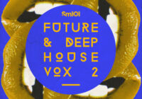 SM101 Future & Deep House Vox 2 WAV