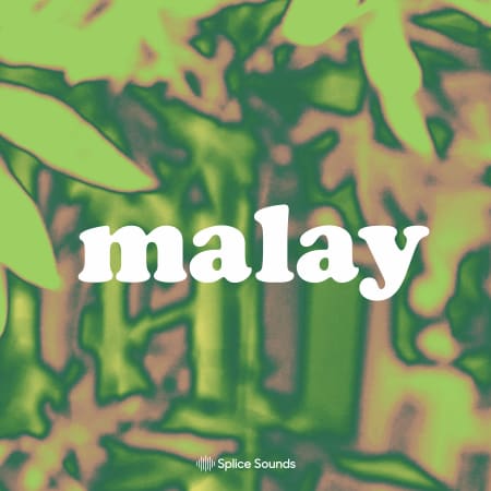 Splice Sounds Malay Sample Pack WAV