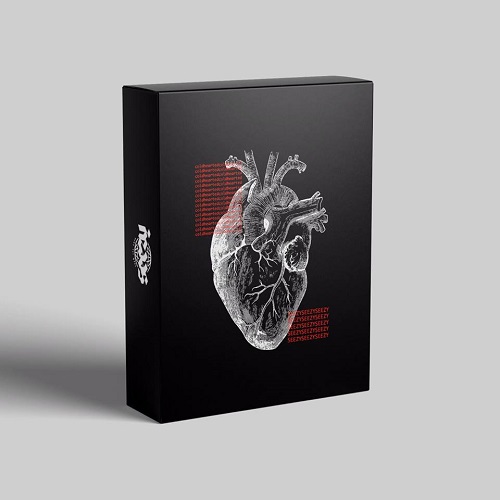 Seezy Coldhearted DrumKit WAV
