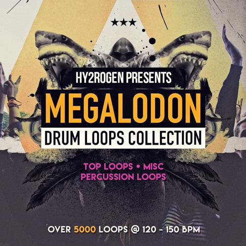 Megalodon Drum Loops Collection 