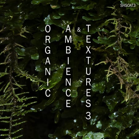 Organic Ambience & Textures 3