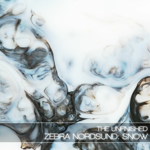Zebra Nordsund: Snow Dark Edition
