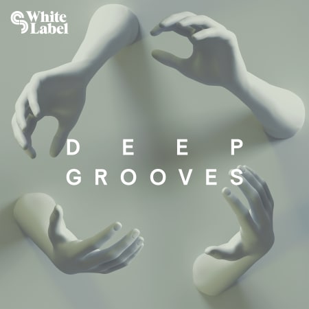 SM White Label Deep Grooves WAV