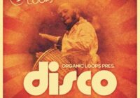 Organic Loops Disco Latino WAV