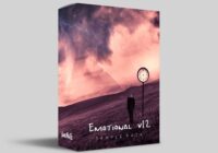 IanoBeatz Emotional Sample Pack Vol.12 WAV