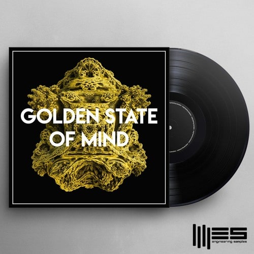 ES Golden State Of Mind - Melodic Techno WAV