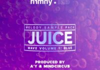 HRMNY Juice Wave Vol.1 - Trap Soul & Vocal Sample Pack