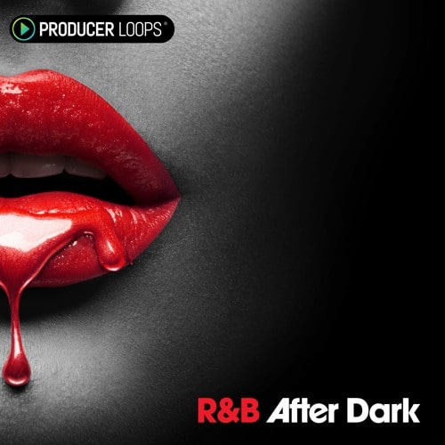 Producer Loops RnB After Dark WAV