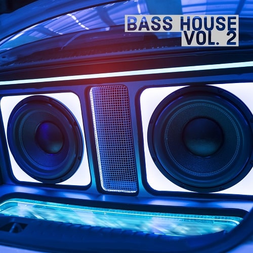 Bass House Vol.2 Sample Pack & Synth Presets