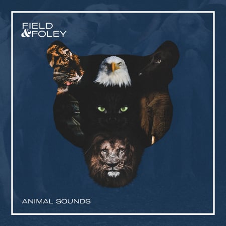 Field & Foley Animal Sounds WAV