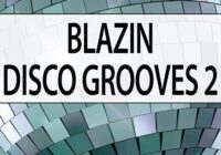 Deep Data Loops Blazin Disco Grooves 2 WAV MIDI