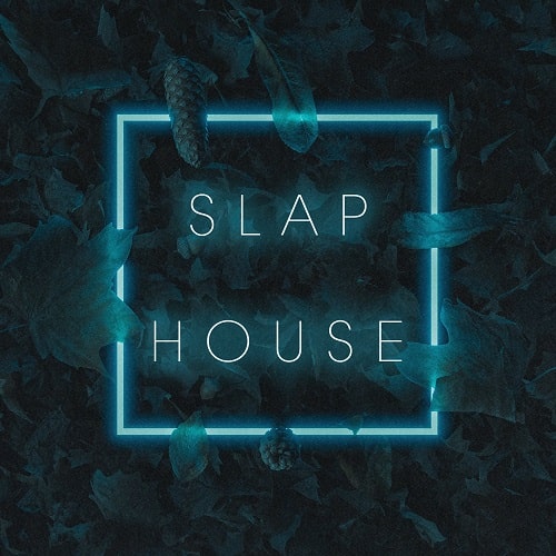 Cr2 Slap House WAV MIDI