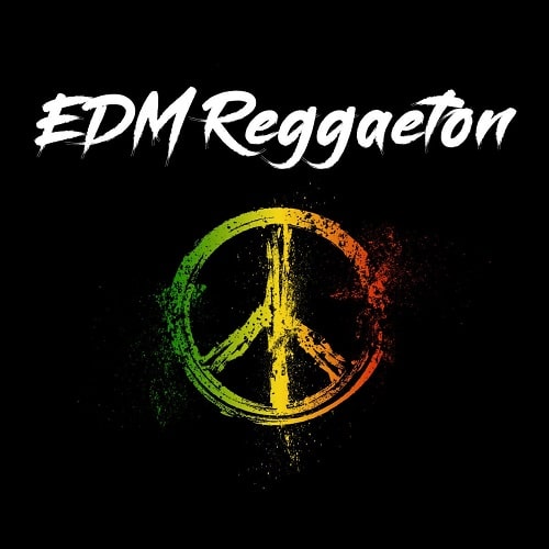 EDM Reggaeton // EDM Moombahton Drums & Melody Loops