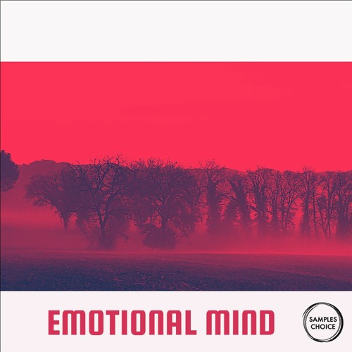  Emotional Mind
