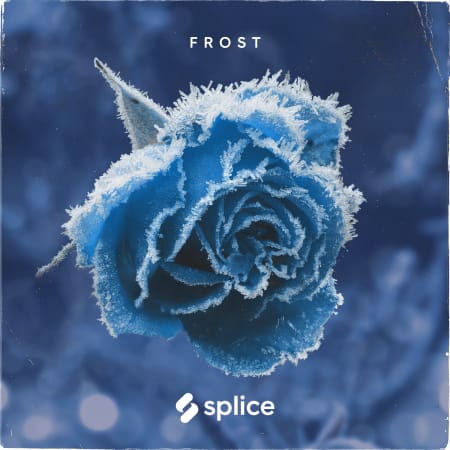 Splice Originals Frost - February RnB WAV