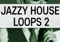 Deep Data Loops Jazzy House Loops 2 WAV MIDI